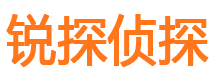 桂阳外遇出轨调查取证